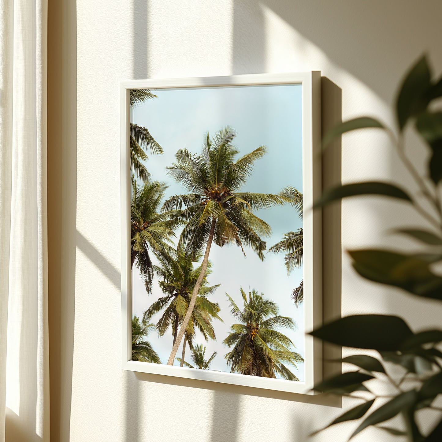 Penida Palms