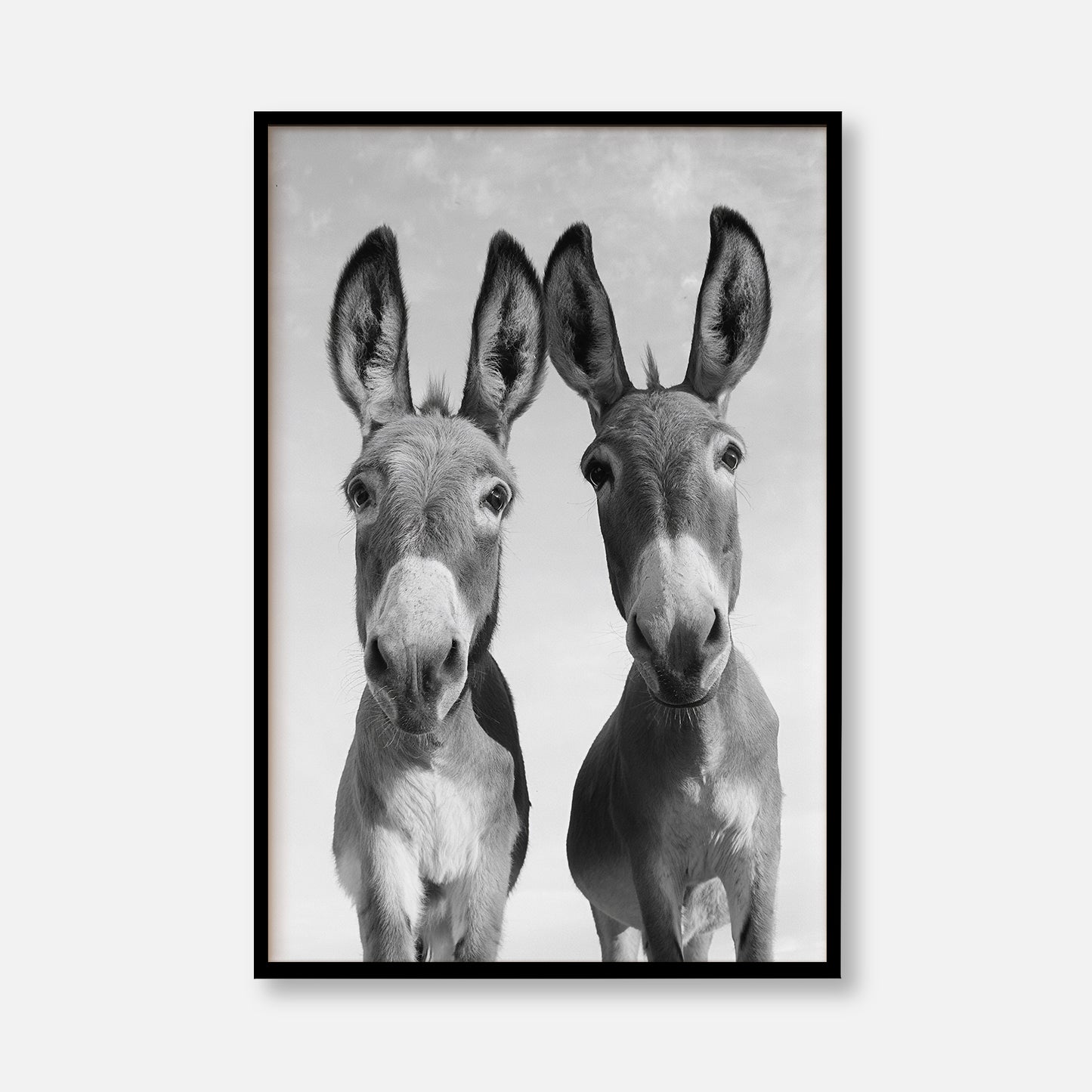 Two Donkeys