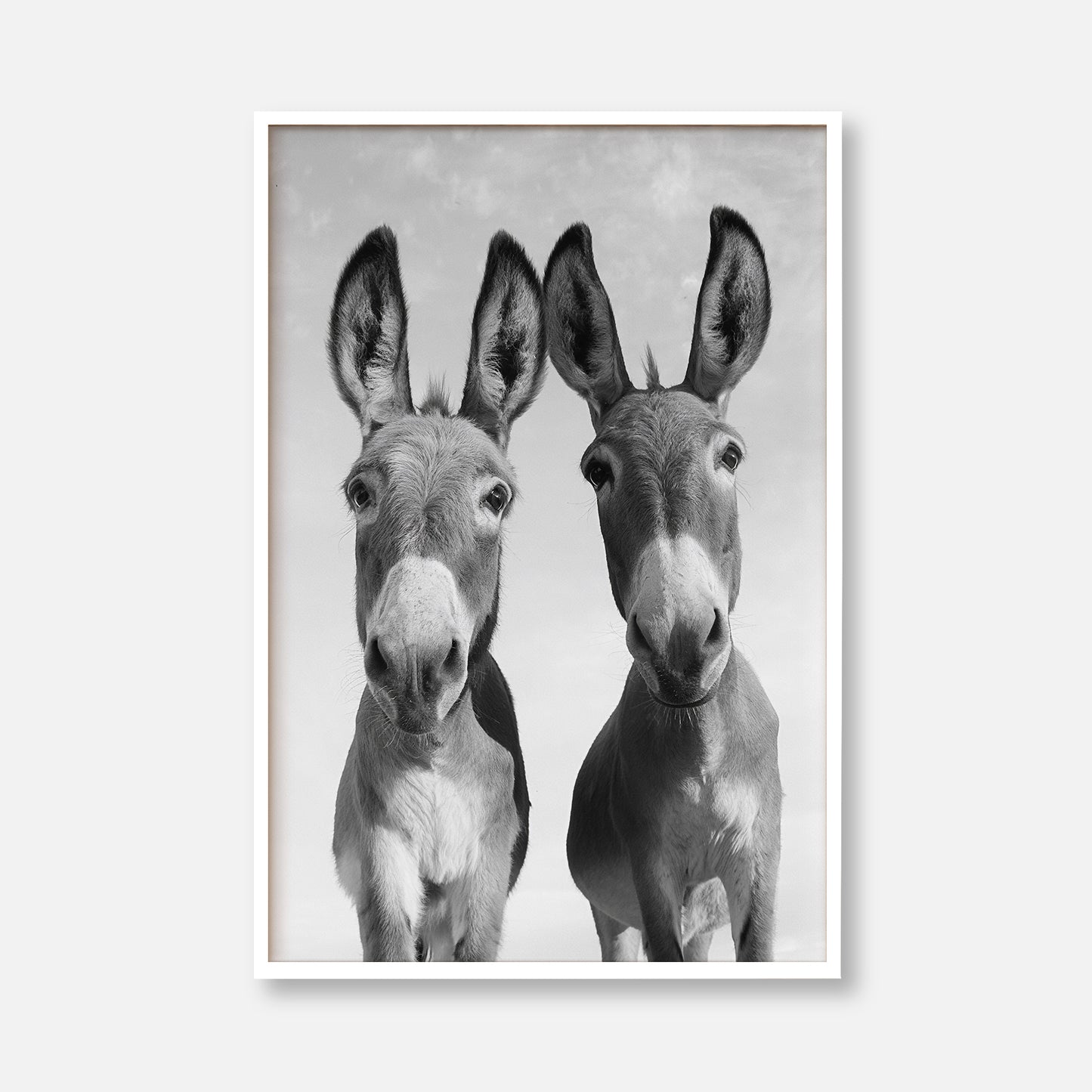 Two Donkeys
