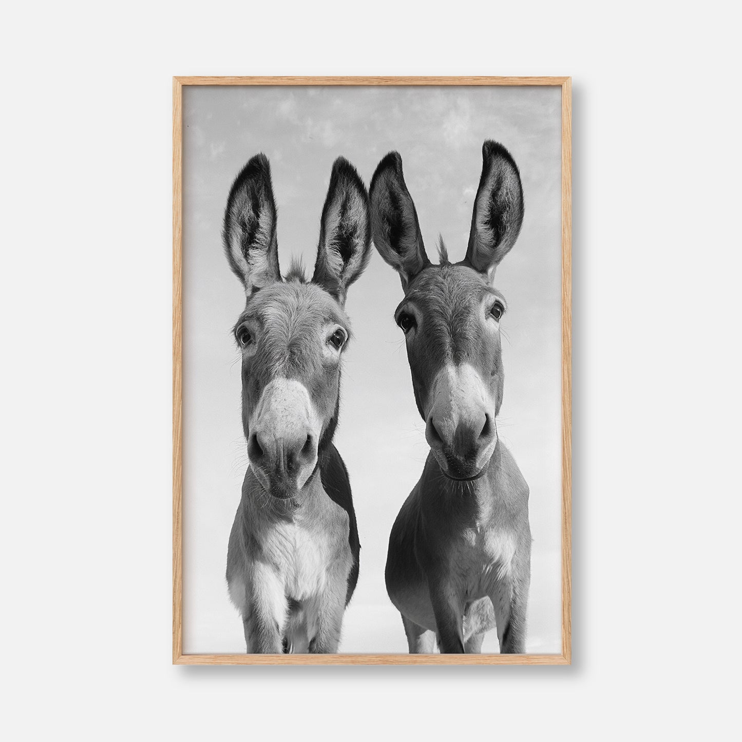 Two Donkeys