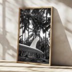 Tropical Surf Culture