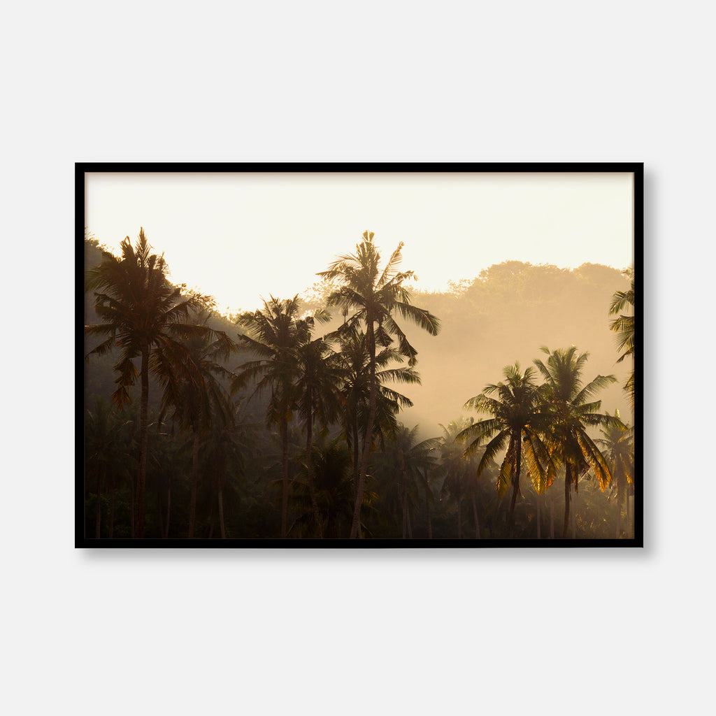 Crystal Bay Palms