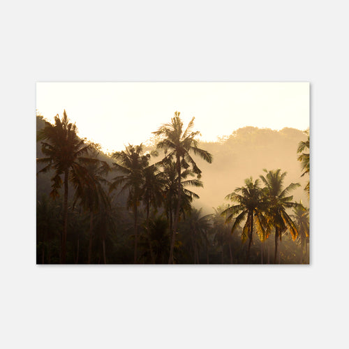Crystal Bay Palms