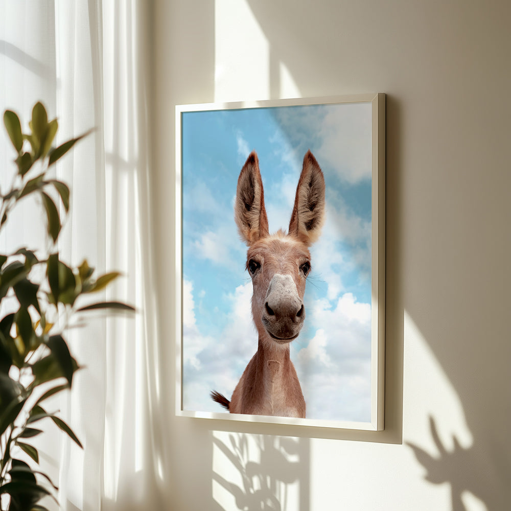 Smiling Donkey