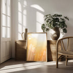 Golden Hour Surfboards