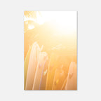 Golden Hour Surfboards