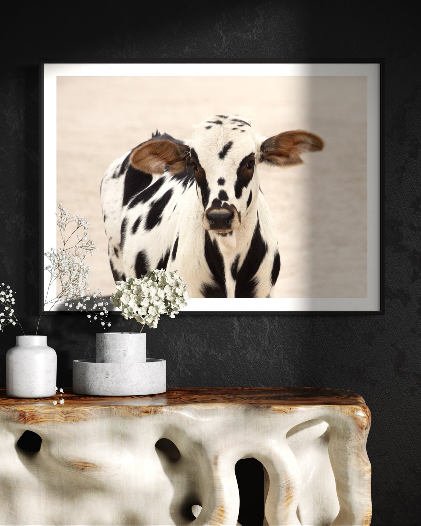 Poster Print: Baby Cow