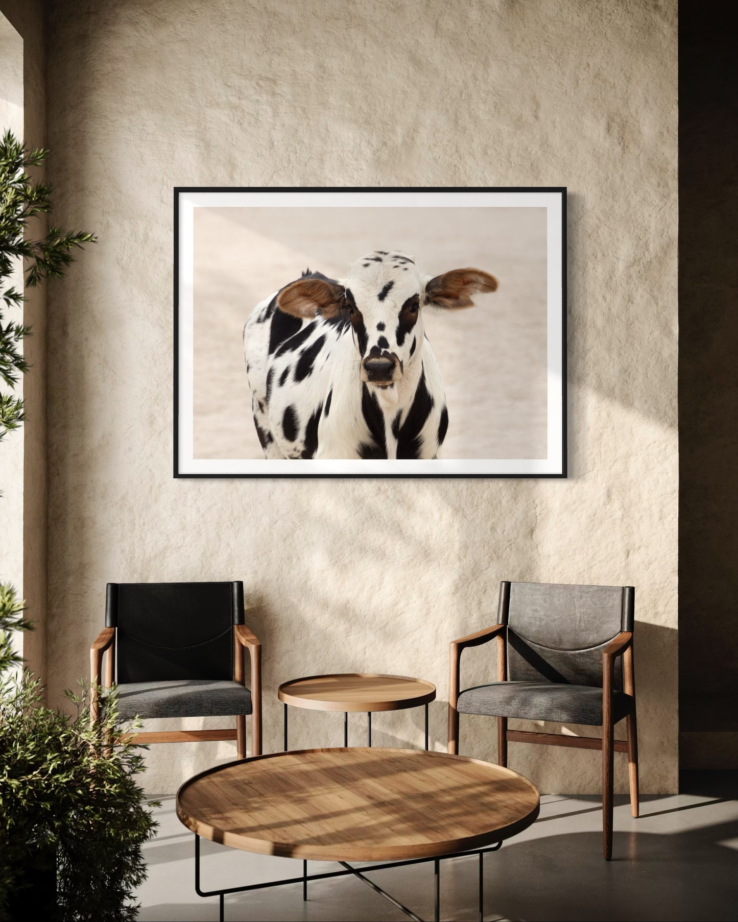 Poster Print: Baby Cow