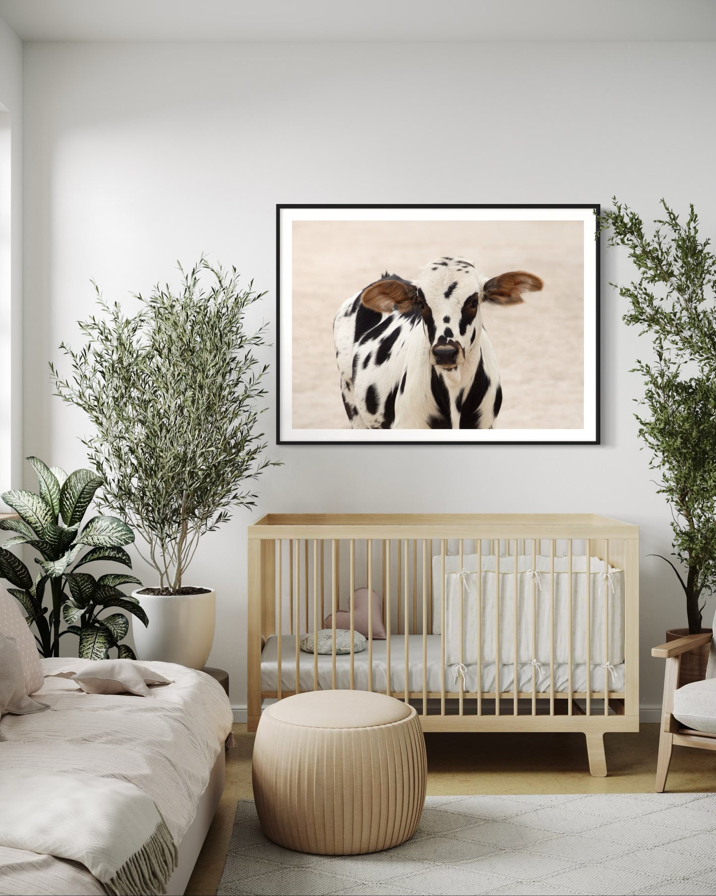 Poster Print: Baby Cow