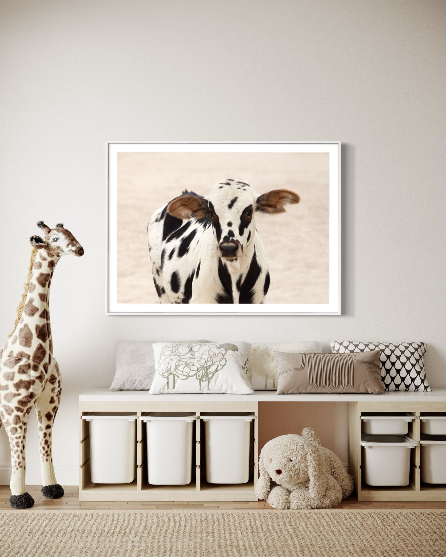 Poster Print: Baby Cow