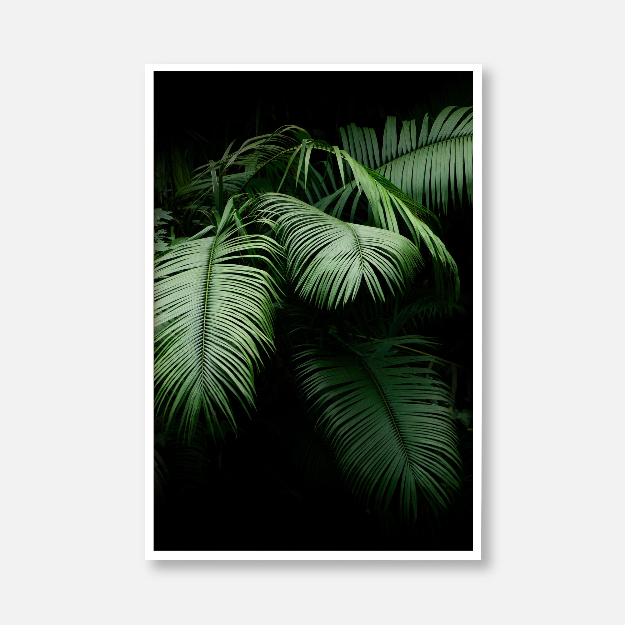 Lush Palm Serenity – Sotale Gallery Lush Palm Serenity – Sotale Gallery