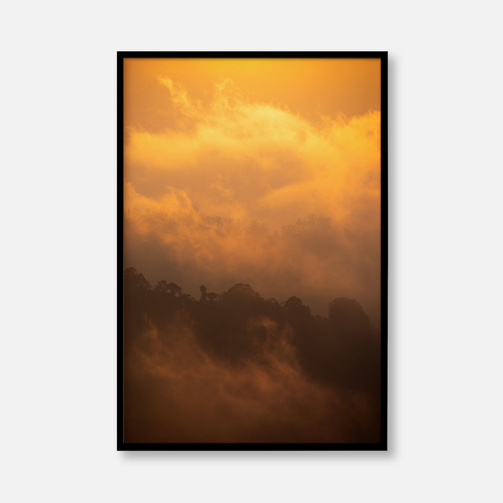 Golden Mist