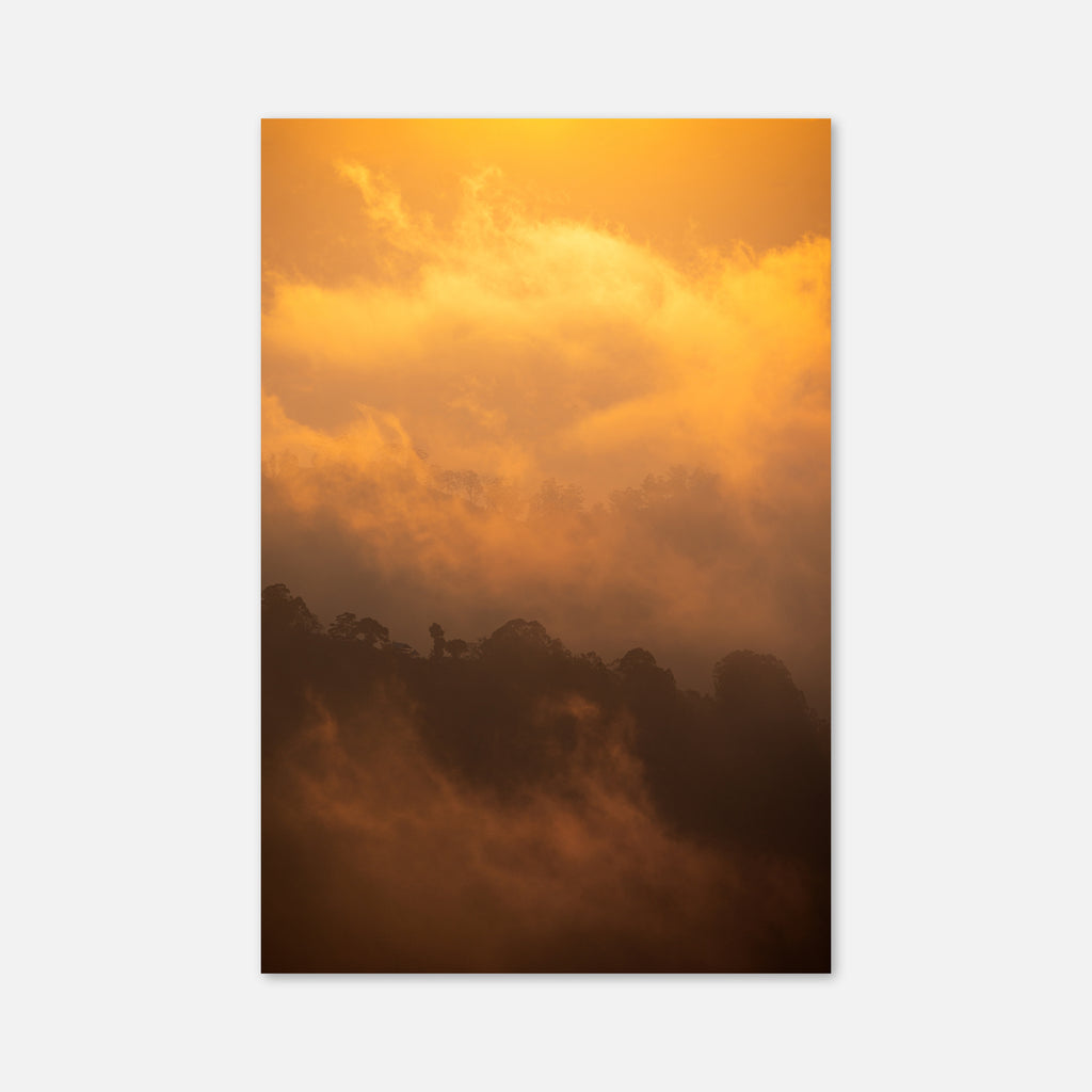 Golden Mist