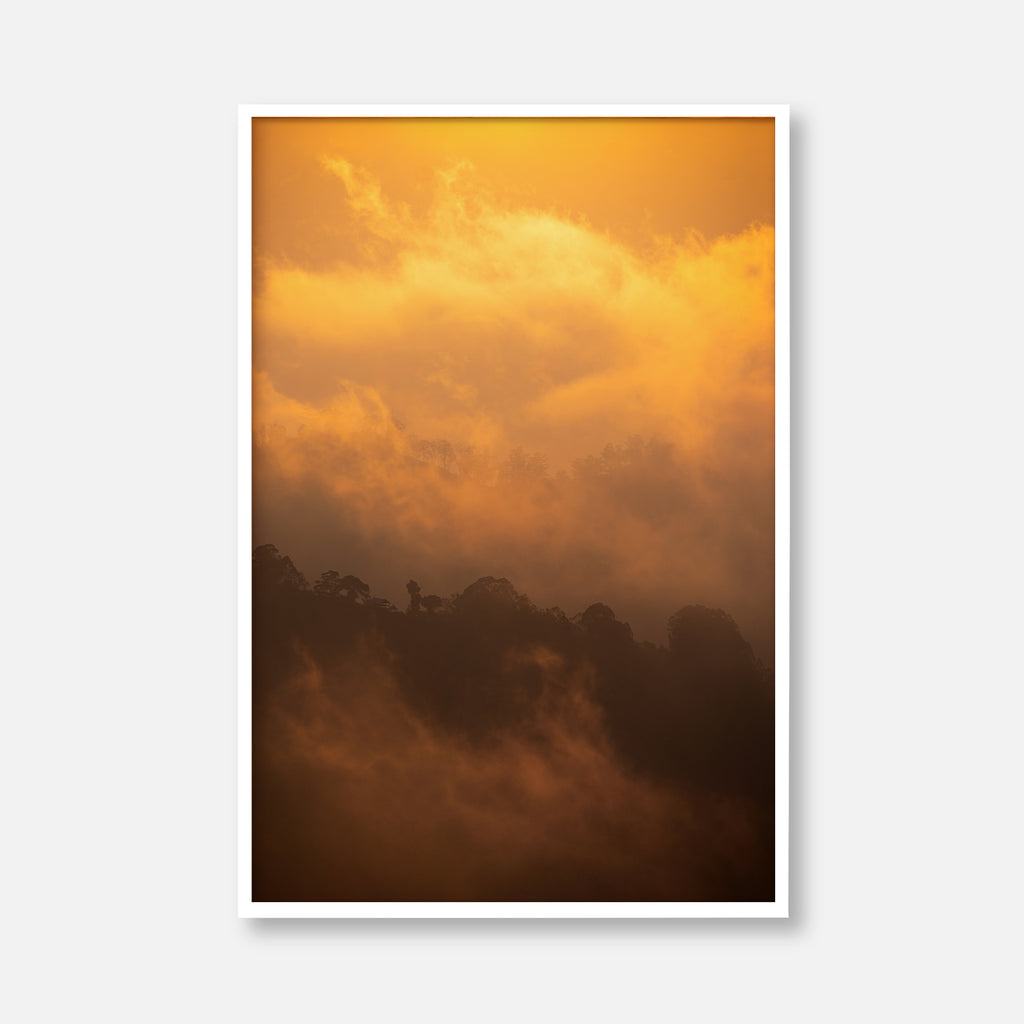 Golden Mist