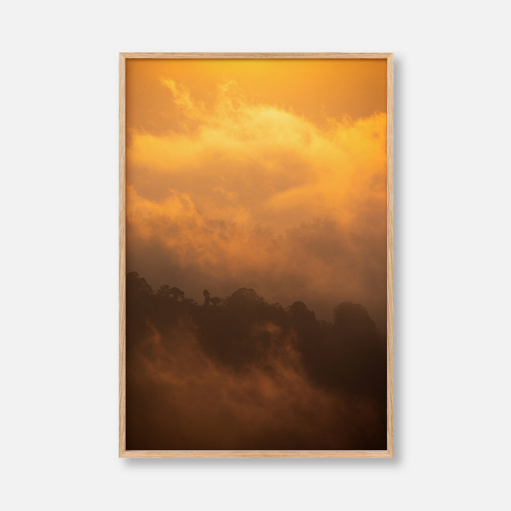 Golden Mist