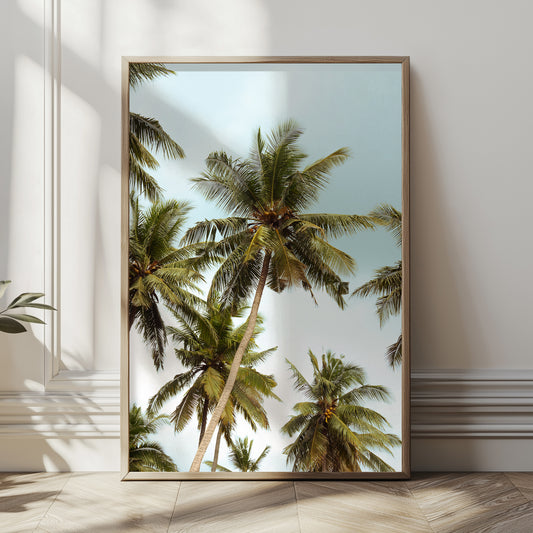 Penida Palms