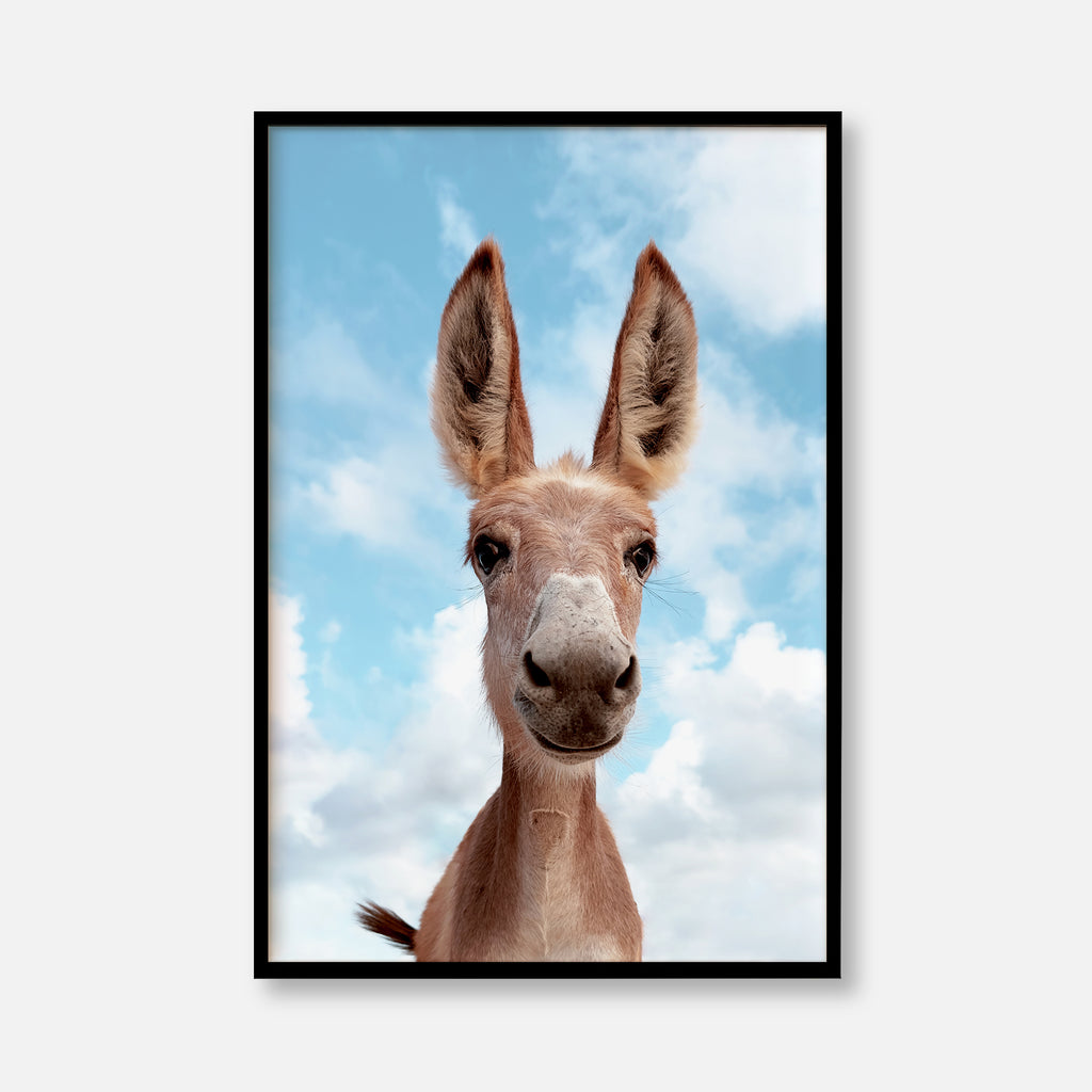 Smiling Donkey