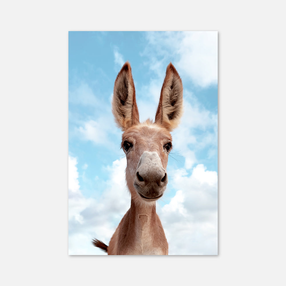 Smiling Donkey
