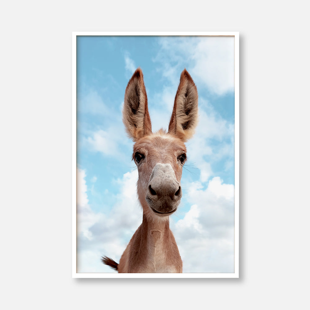 Smiling Donkey