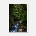 Jungle River