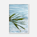Tropical Serenity