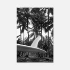 Tropical Surf Culture