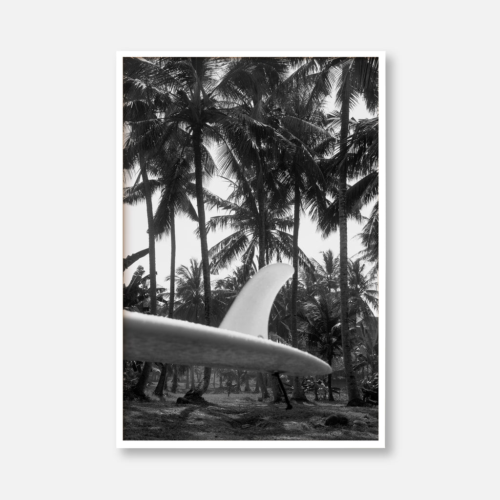 Tropical Surf Culture