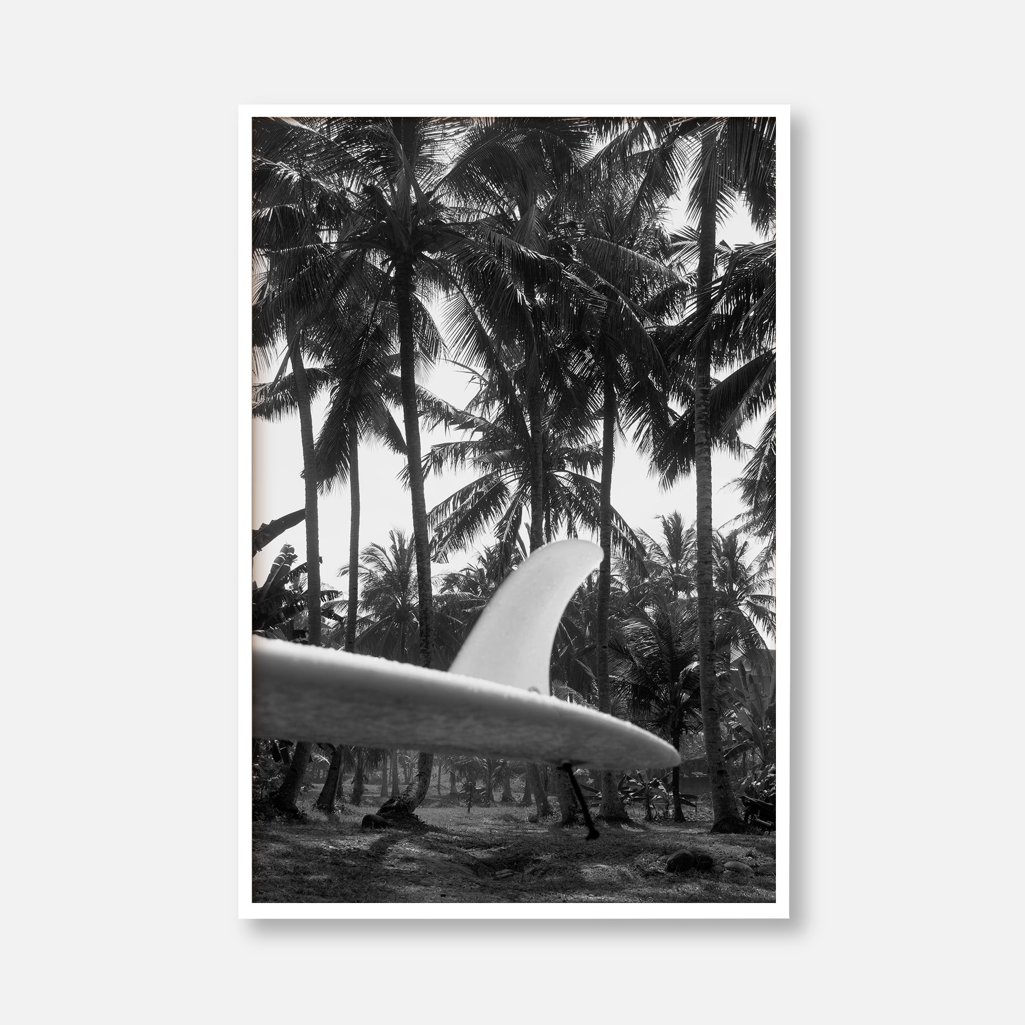 Tropical Surf Culture