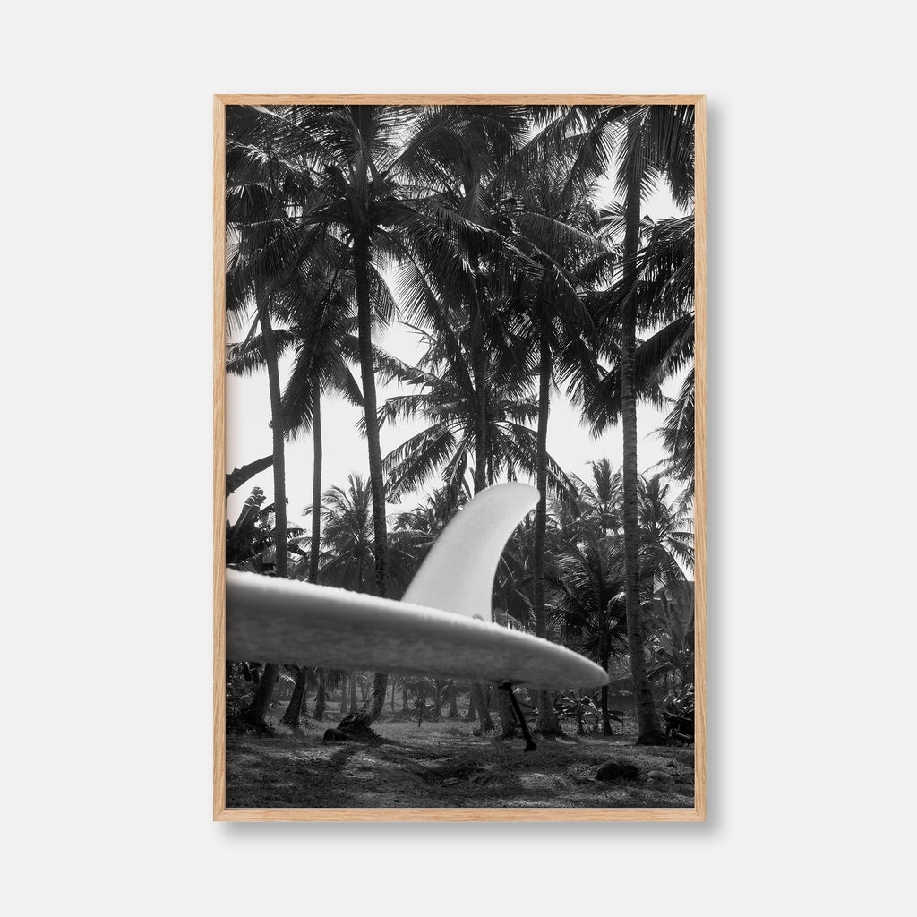 Tropical Surf Culture