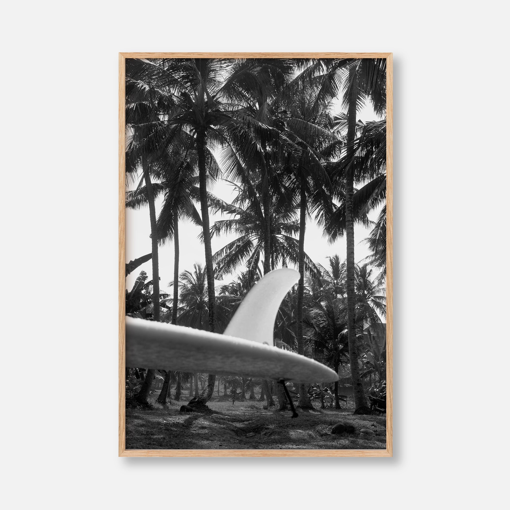 Tropical Surf Culture