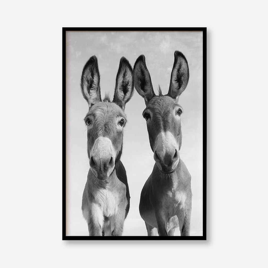Two Donkeys