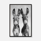 Two Donkeys