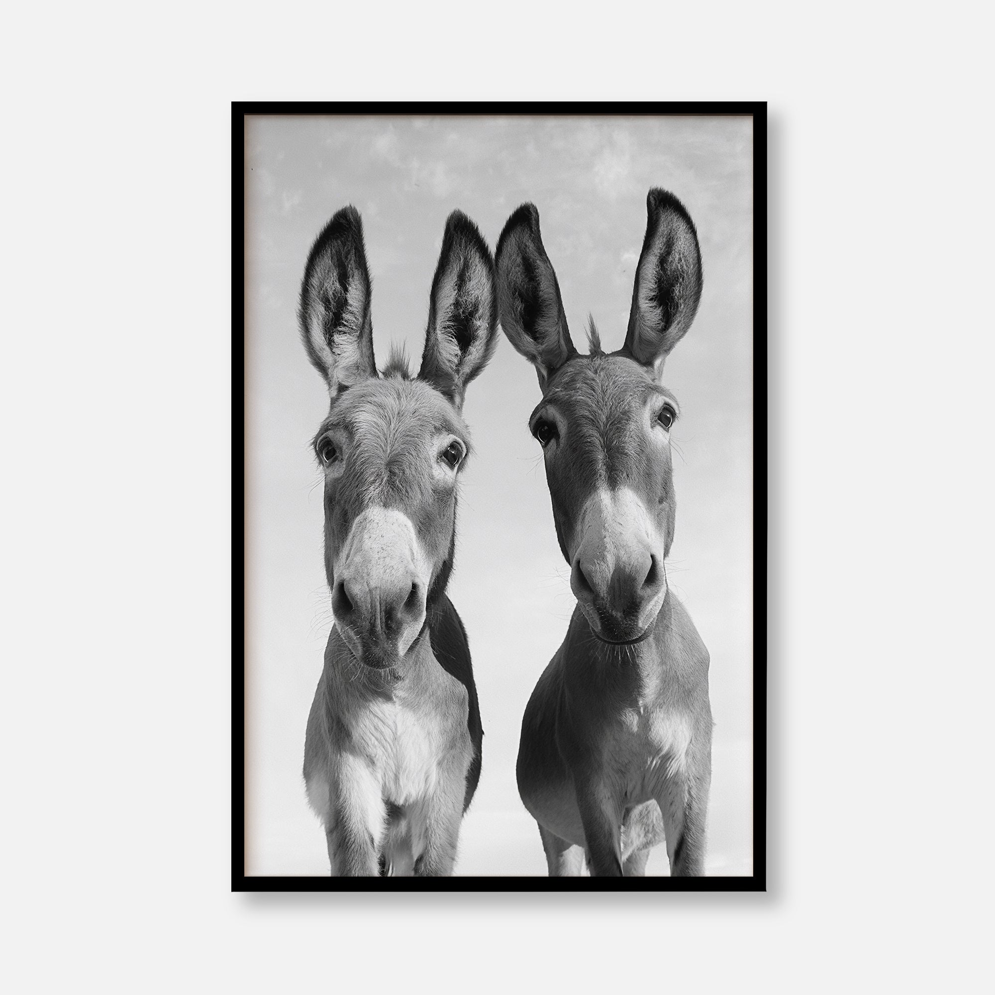 Two Donkeys