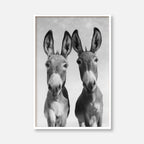 Two Donkeys