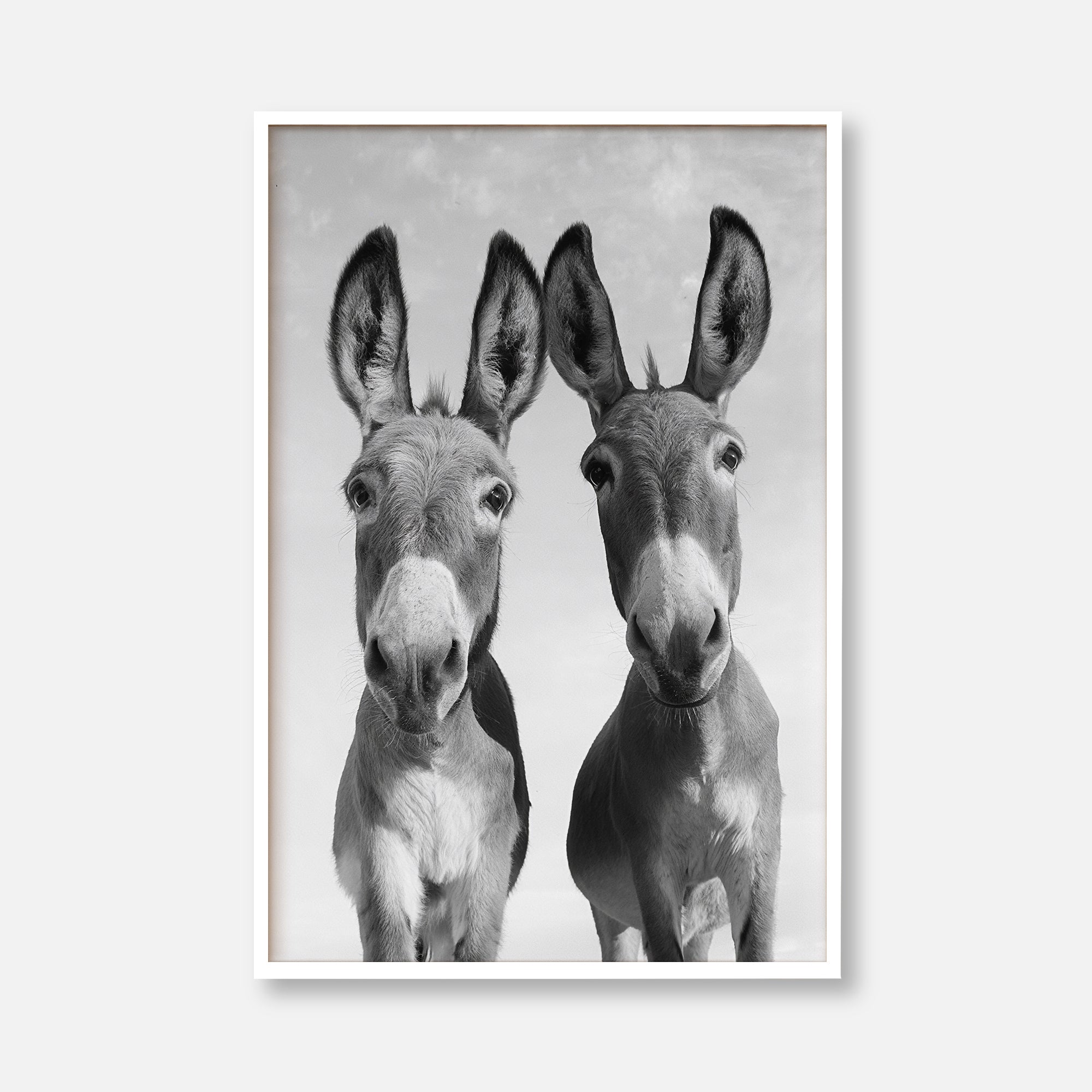 Two Donkeys