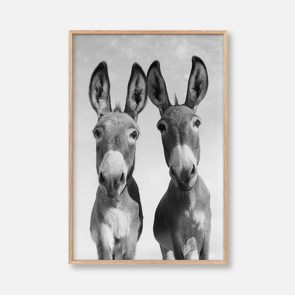 Two Donkeys