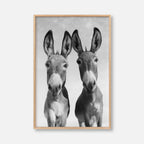 Two Donkeys