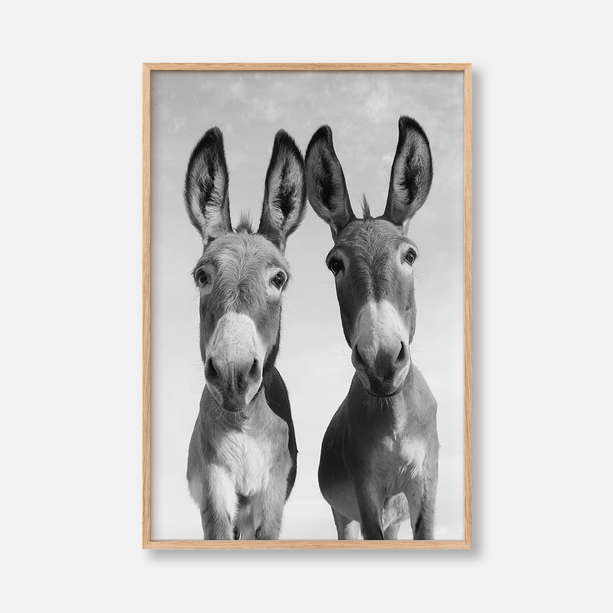 Two Donkeys