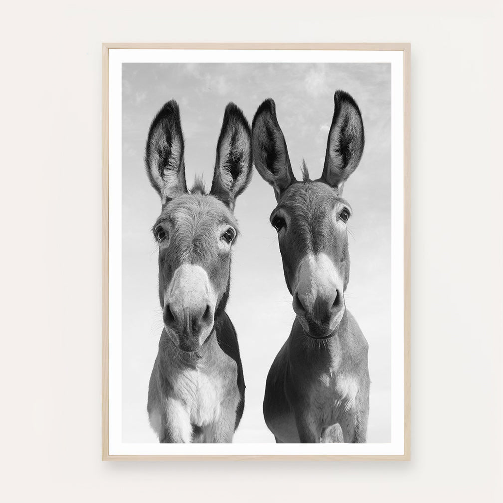 Poster Print:  "Two Donkeys"